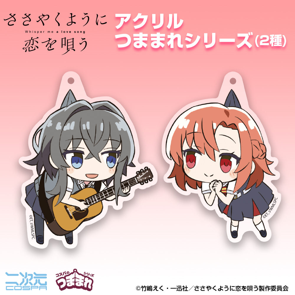 【予約商品】1114-0084 朝凪依 アクリルつままれ