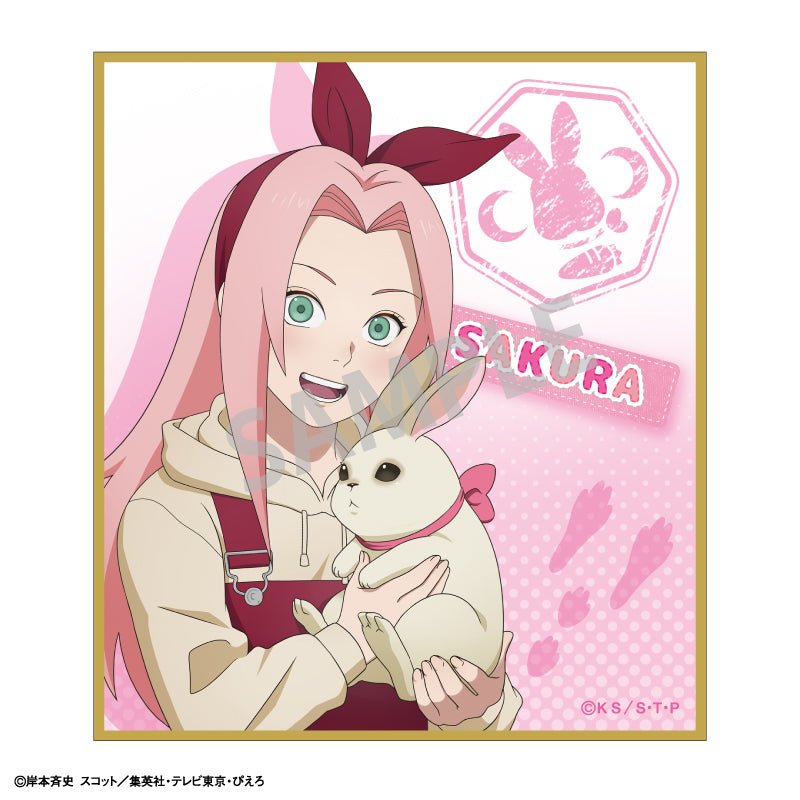 【予約商品】NARUTO-ナルト- 疾風伝　トレーディングミニ色紙＿少年期×アニマル